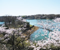 自転車道北側陸橋からの絶景